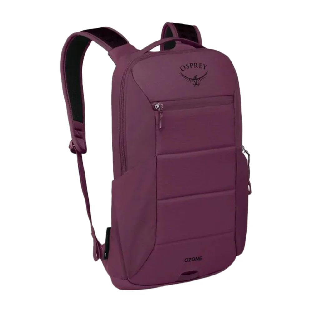 OZONE SLIM PACK MOODY | MOODY BURG