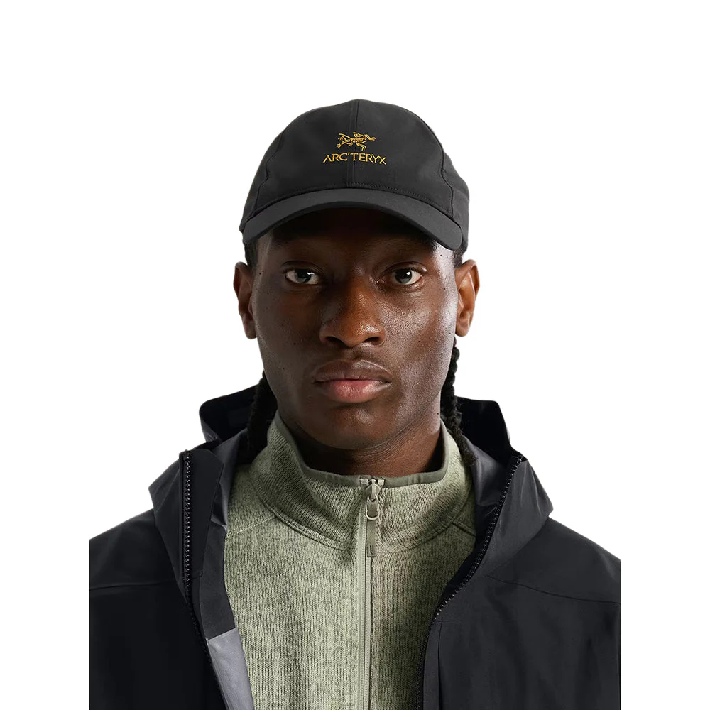BIRD WORD CAP | 24K BLACK - Image 2