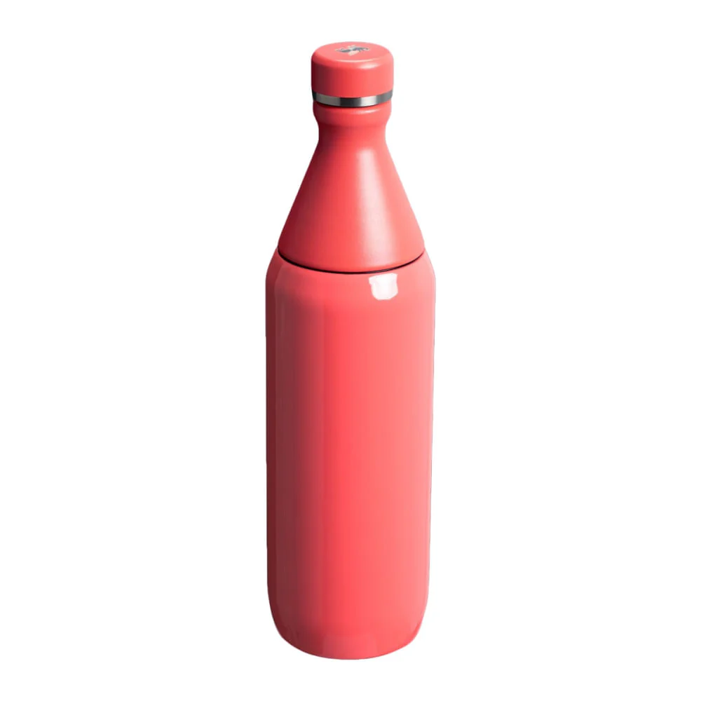 20OZ ALL DAY SLIM BOTTLE | 108-HOT CO - Image 2