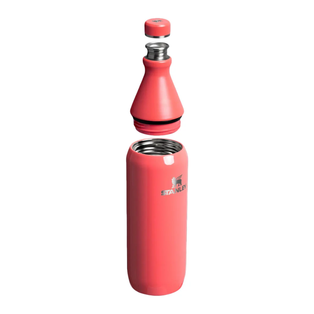 20OZ ALL DAY SLIM BOTTLE | 108-HOT CO - Image 3