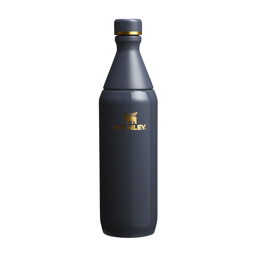 20OZ ALL DAY SLIM BOTTLE | 1433-TWILI